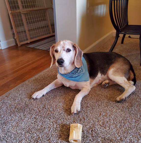 Meet your Posher, Paula - Picture 1 of 1